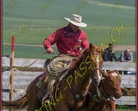 2NODS 0399
